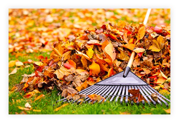 Entretient des epaces Verts et jardins pour les particuliers